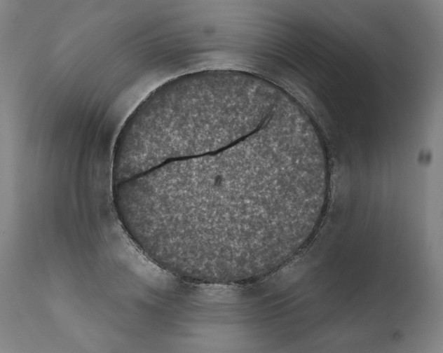 X0000111010836200907101313