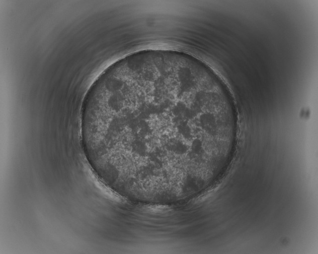 X0000111010837200907101313