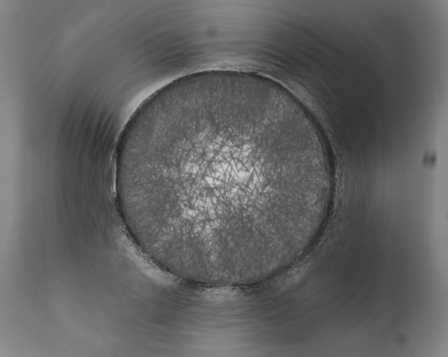 X0000111010838200907101313