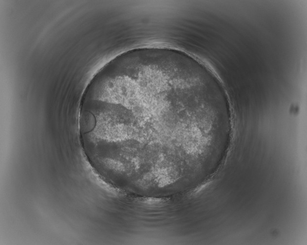 X0000111010839200907101313