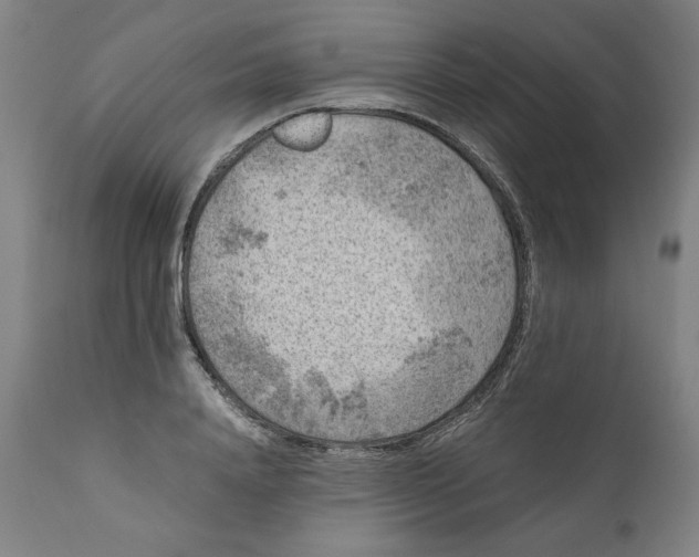 X0000111010840200907101313