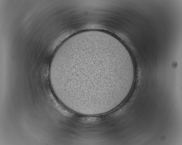 X0000111010841200907101313