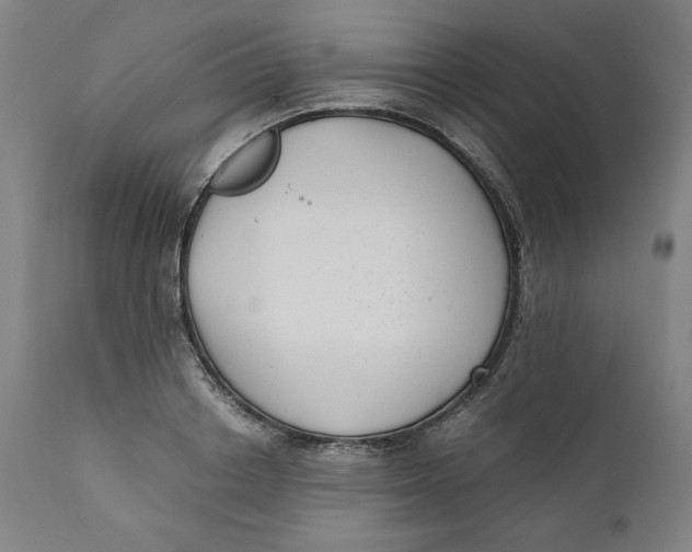X0000111010842200907101313