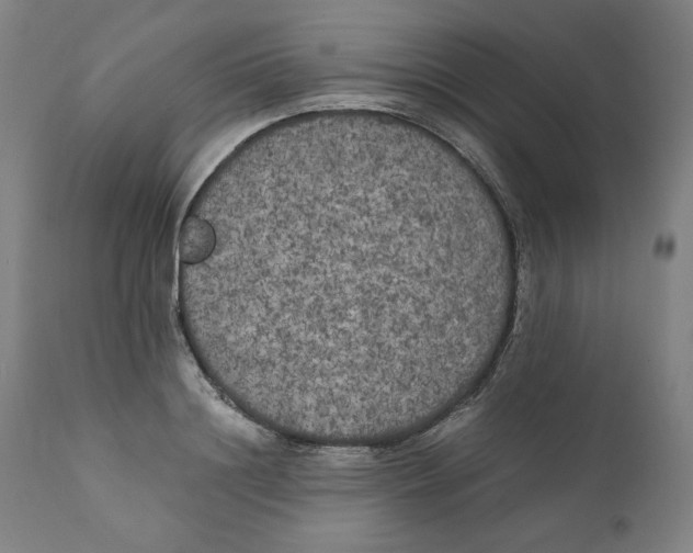 X0000111010844200907101313