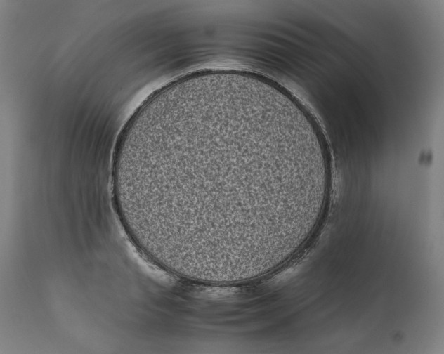 X0000111010845200907101313