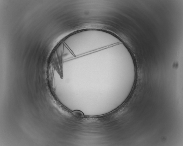 X0000111010846200907101313