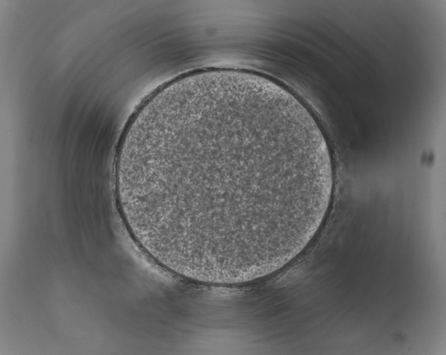 X0000111010848200907101313