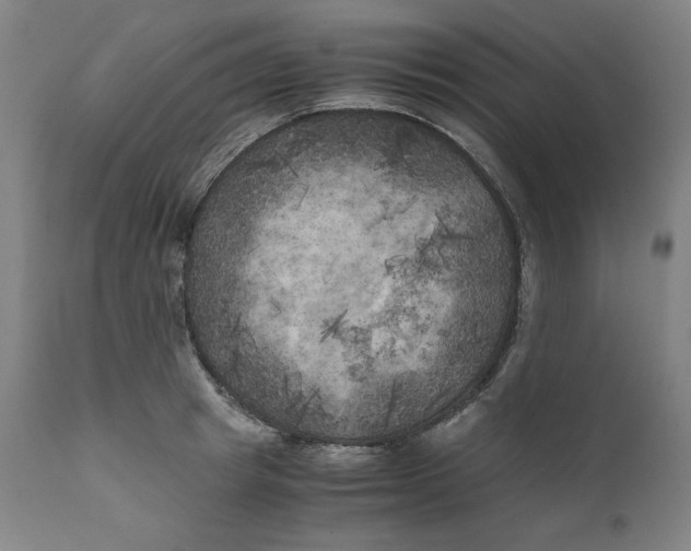 X0000111010849200907101313