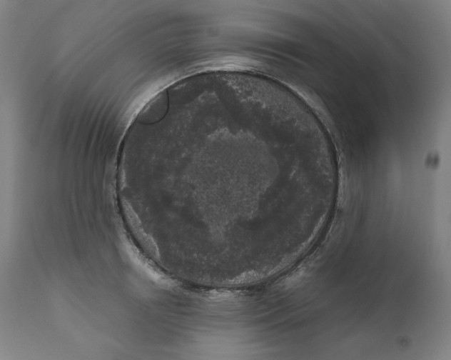 X0000111010850200907101313