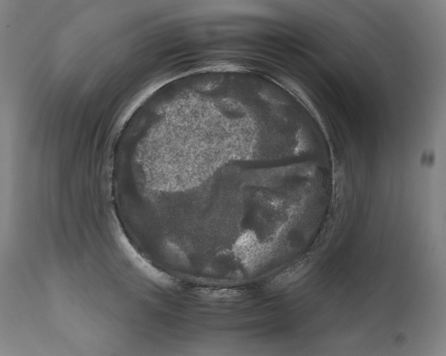 X0000111010851200907101313