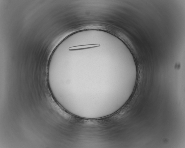 X0000111010852200907101313