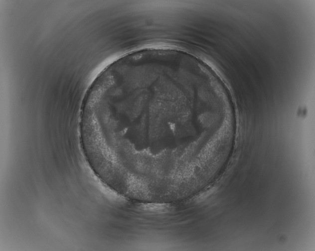 X0000111010853200907101313