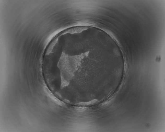 X0000111010854200907101313