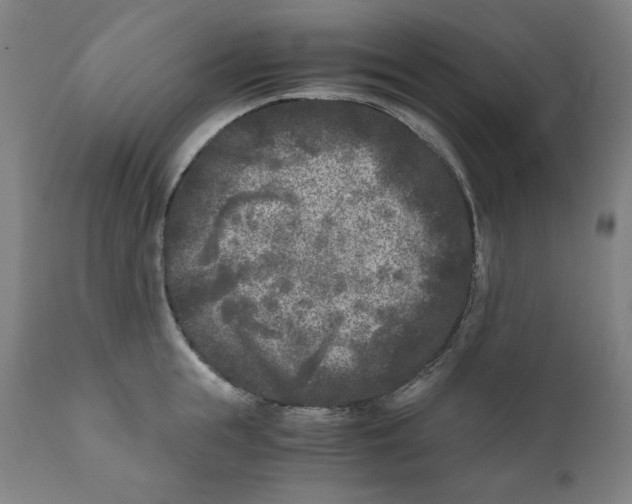 X0000111010855200907101313