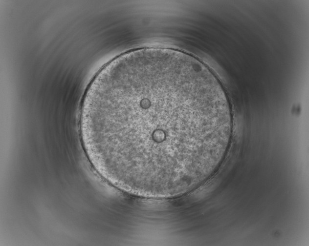 X0000111010856200907101313