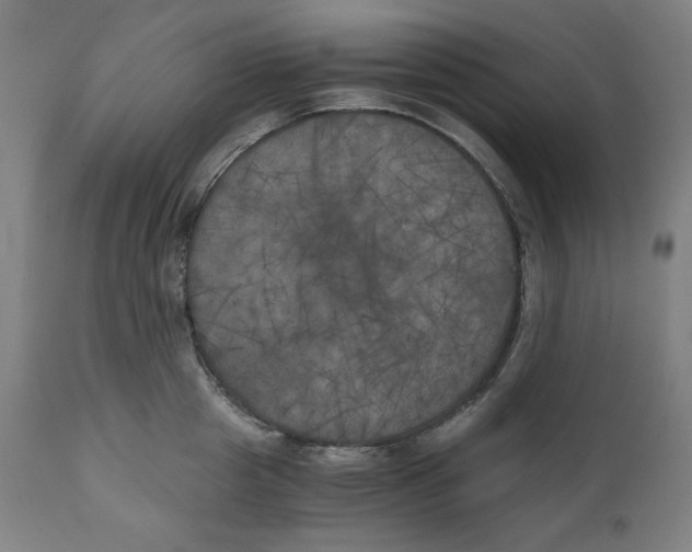 X0000111010857200907101313