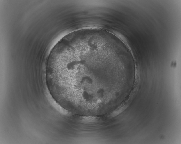 X0000111010859200907101313
