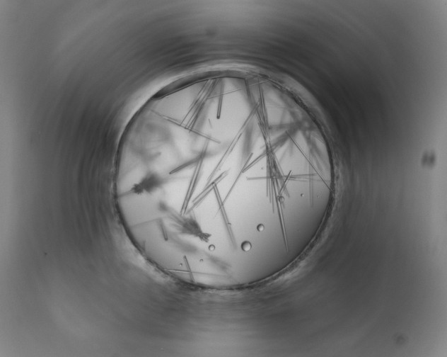 X0000111010860200907101313