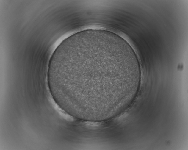 X0000111010861200907101313
