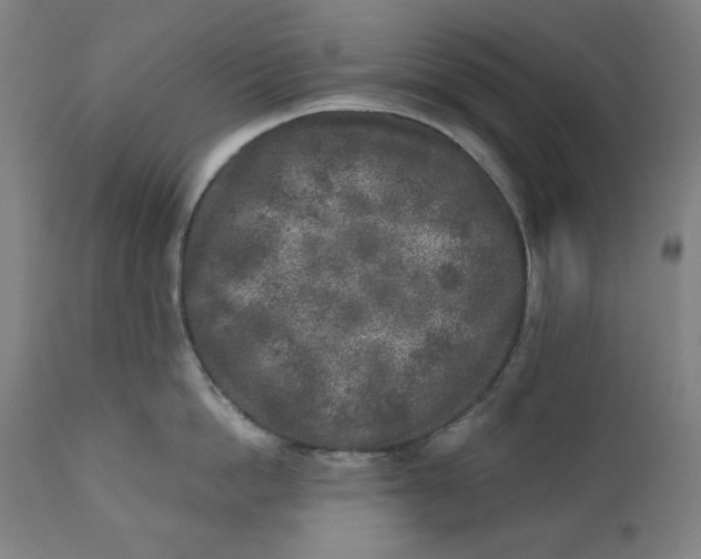 X0000111010862200907101314