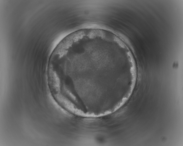 X0000111010863200907101314