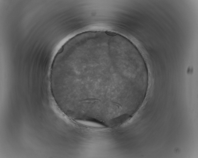 X0000111010864200907101314