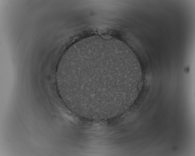 X0000111010865200907101313