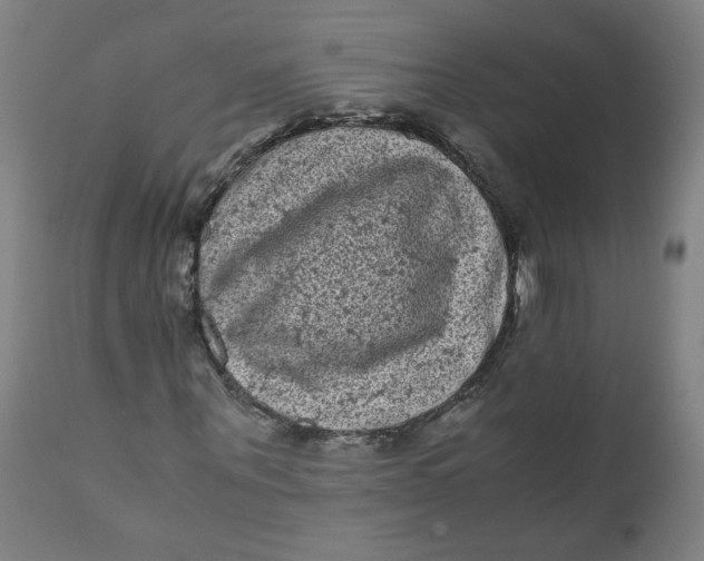 X0000111010867200907101313
