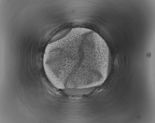 X0000111010868200907101313