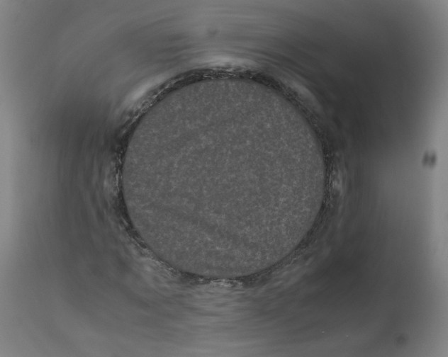 X0000111010869200907101313
