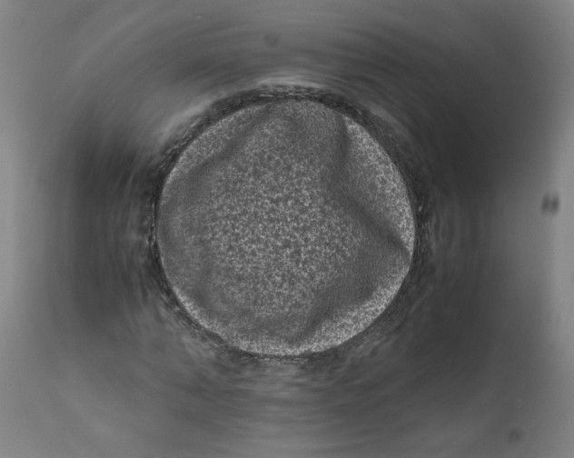 X0000111010870200907101313