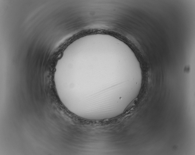 X0000111010872200907101313