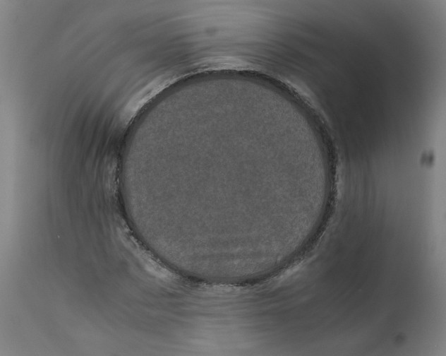 X0000111010873200907101313