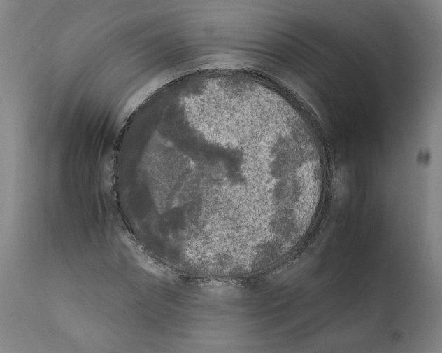 X0000111010874200907101313