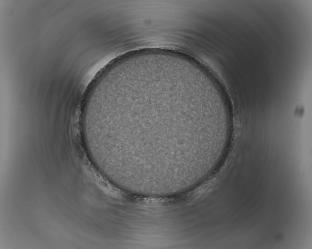 X0000111010875200907101313