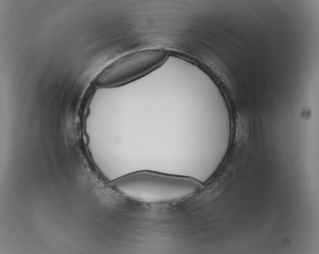 X0000111010876200907101313