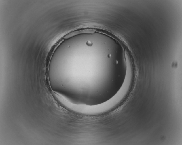 X0000111010877200907101313