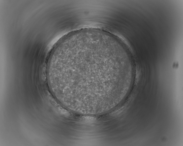X0000111010878200907101313