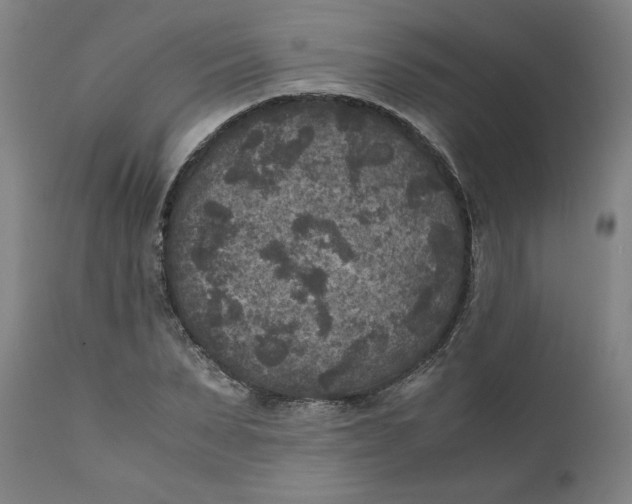 X0000111010879200907101313