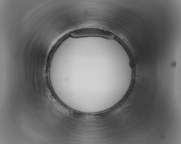 X0000111010880200907101313