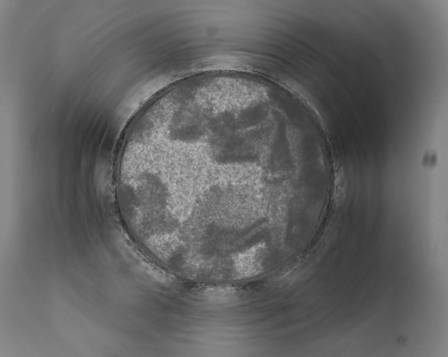 X0000111010882200907101313