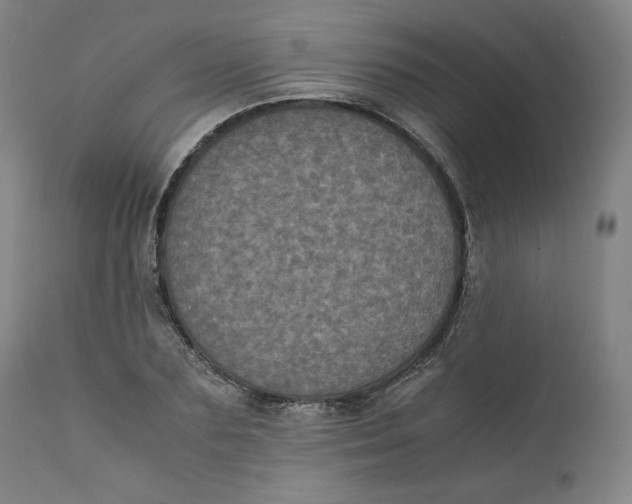 X0000111010883200907101313