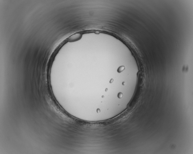 X0000111010884200907101313