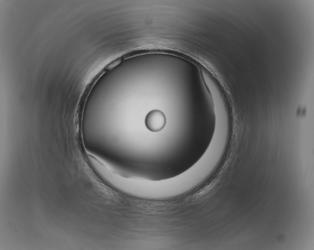 X0000111010885200907101313