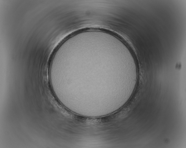 X0000111010887200907101313