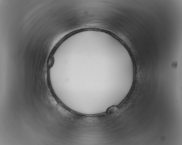 X0000111010888200907101313