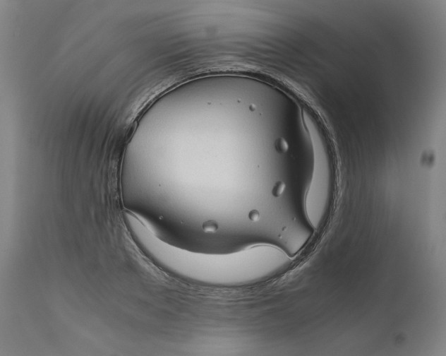 X0000111010889200907101313