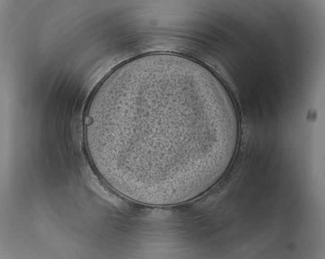X0000111010890200907101313