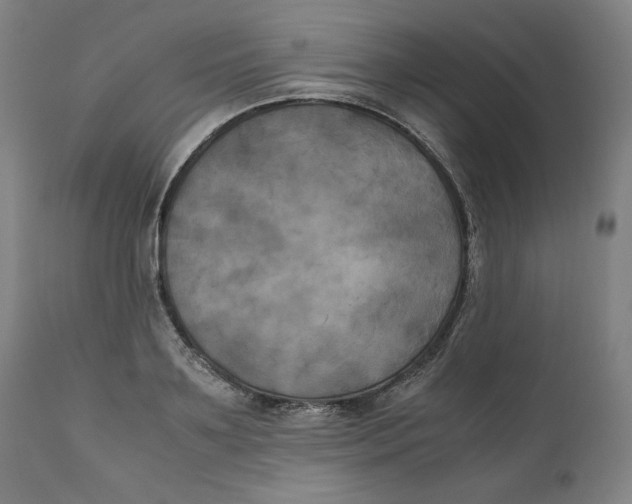 X0000111010891200907101313