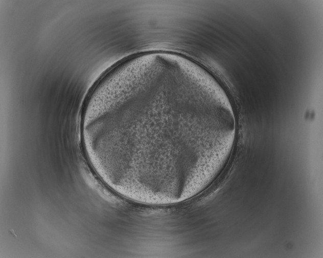 X0000111010892200907101313